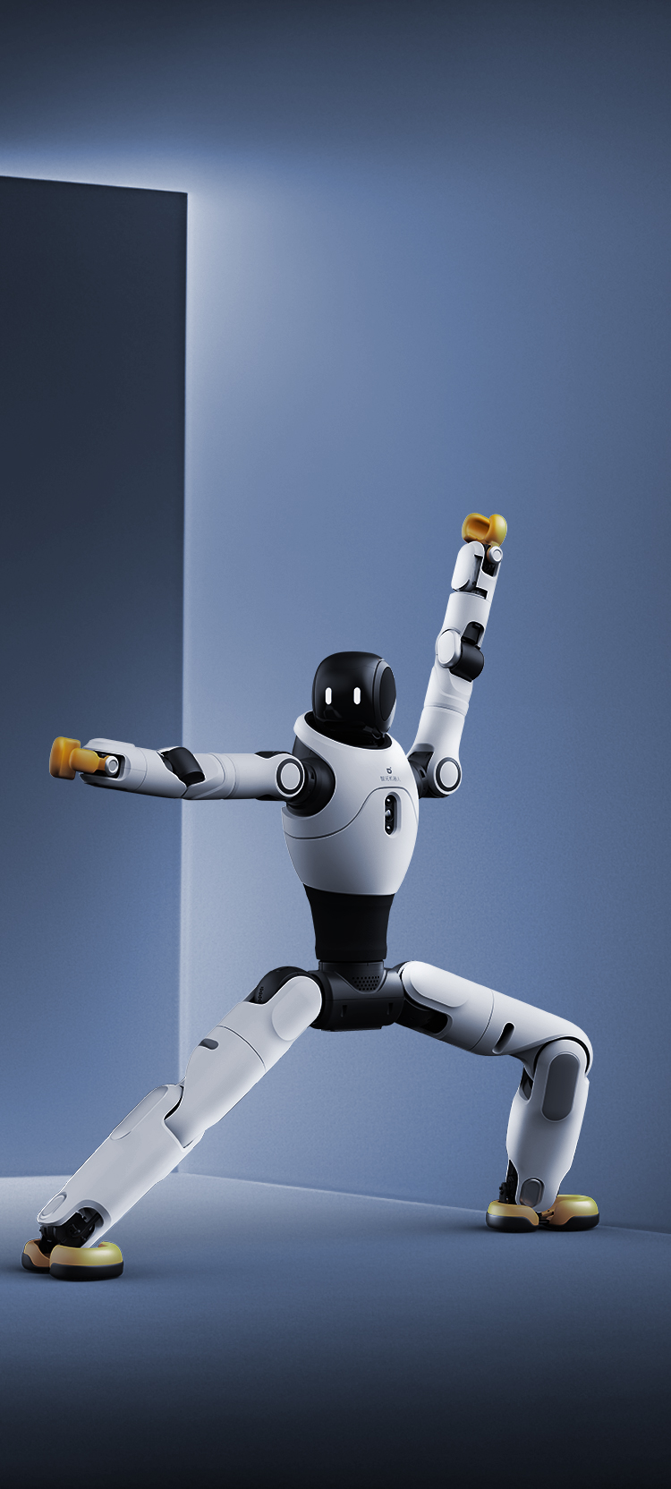 555000jcjc公海灵犀 X2